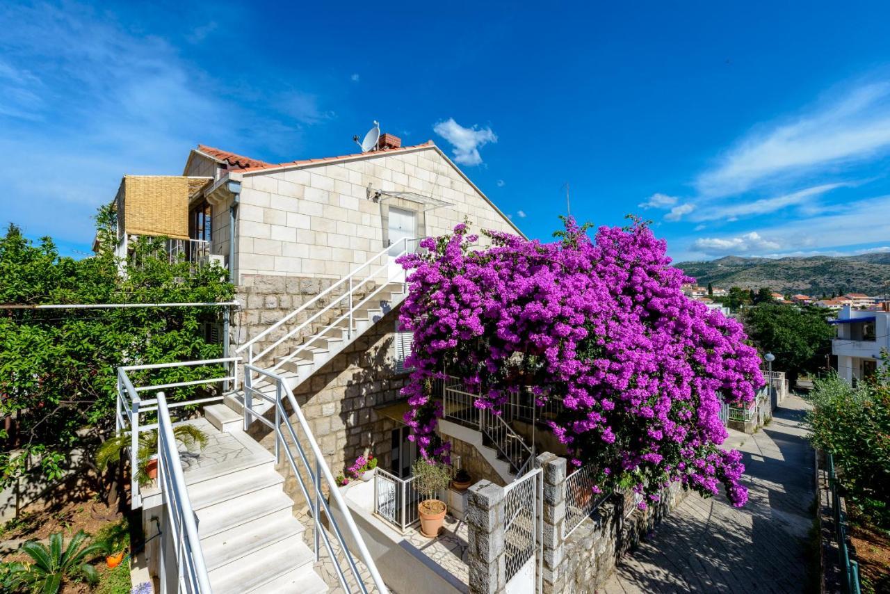 Beach Lapad Apartment Villa Tolja Ντουμπρόβνικ Εξωτερικό φωτογραφία